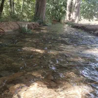 استخدام نگهبان باغ