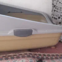 نژاد گربه اسکاتیش فولد|گربه|قرچک, باقرآباد|دیوار