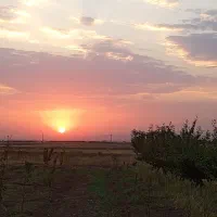 باغ-زیباشهر-منطقه-6