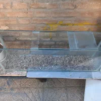 آکواریوم شرکتی|ماهی|سنندج, |دیوار