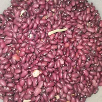 غذایی