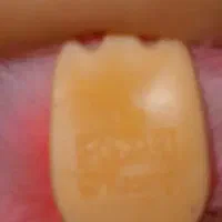 لبوبو|اسباب‌‌بازی|بابل, |دیوار