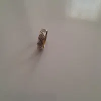 انگشتر و النگو