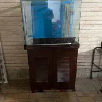 اکواریوم ابشور و‌شیرین ماهیران