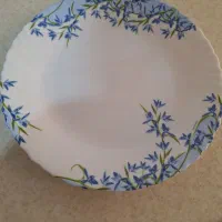 بشقاب پلو خوری