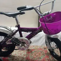 دو چرخه 16