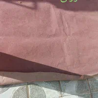 موکت|موکت|تربت‌حیدریه, داروپخش|دیوار