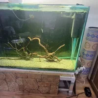 سه عدد اکواریوم