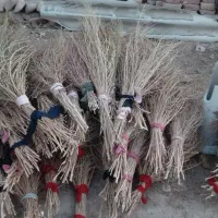 جارو|لوازم نظافت|خرم‌آباد, |دیوار