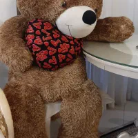 خرس پولیشی (عروسک تدی)