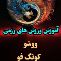 ورزش های رزمی