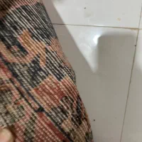 فرش دستباف هریس قدیمی و ارزشمند سایز ۲*۳|فرش|تهران, دکتر هوشیار|دیوار