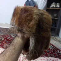 کلاه خوبی(سطح یک)