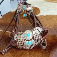 کلگی و دست جلو اسب