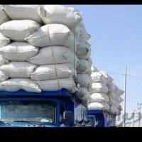 کاه گندم سفید