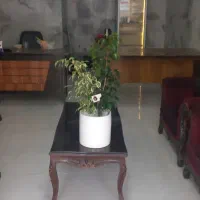 فروش مغازه در شهرک سیمرغ