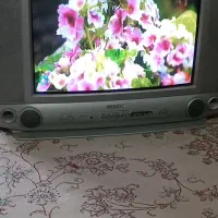 تلویزیون ۱۹ تا ۲۱ رنگی شهاب|تلویزیون و پروژکتور|شاهینشهر, امیرکبیر|دیوار