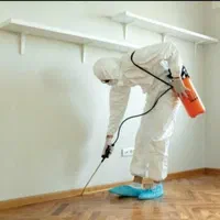 شرکت سمپاشی وموریانه زدایی *تخفیف ویژه* مجوز رسمی*|خدمات نظافت|دزفول, |دیوار