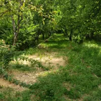 اجاره باغ ویلا در بهترین لوکیشن سپیدان سربست|اجارهٔ کوتاه‌مدت ویلا و باغ|سپیدان, |دیوار