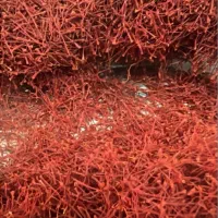 زعفران خوش عطر جنوب خراسان
