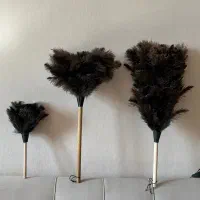 گردگیر پر شترمرغ (عمده و تک)