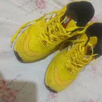 کیف و کفش