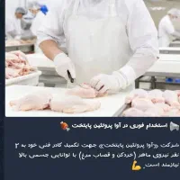 استخدام در بسته بندی گوشت و مرغ