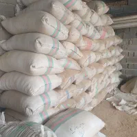 سبوس شالی درجه یک|عمدهفروشی|گنبد کاووس, |دیوار