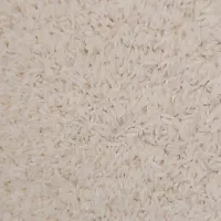 برنج علی کاظمی محصول امسال بصورت عمده