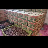 خرمای خاصویی بندر درج یک یک|خوردنی و آشامیدنی|بوکان, |دیوار