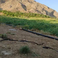 زمین کشاورزی اب شخصی