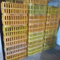 قفس‌مرغ‌‌زنده