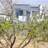 ۶۰۰متر باغ سند تک برگ مناسب ساخت