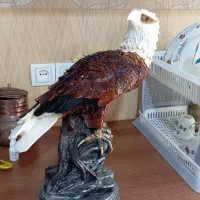 مجسمه عقاب