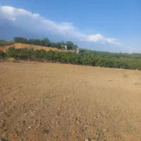 زمین با سهمیه آب پمپاژ و قنات|فروش دفتر صنعتی، کشاورزی، تجاری|سامان, |دیوار