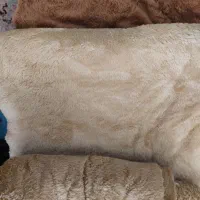 پارچه خز دو رو