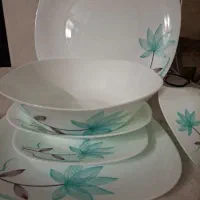 سرویس غذا خوری