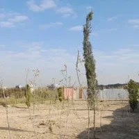 فروش یا تهاتر زمین با ملک یا ماشین زیر قیمت منطقه|فروش زمین و ملک کلنگی|چهاردانگه (تهران), |دیوار