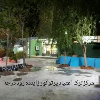 کمپ ترک اعتیاد تعرفه دولتی و تمایلی