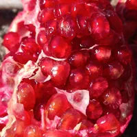 انار دونه قرمز نیگ