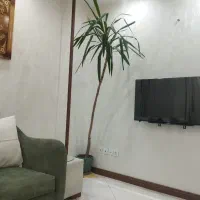 گل یوکا آپارتمانی بزرگ و سرحال