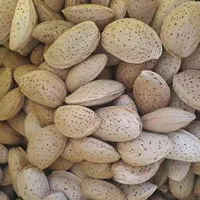 خیارشور ترشی آبغوره ناردونه مویز انجیر|خوردنی و آشامیدنی|نورآباد ممسنی, |دیوار