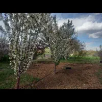 زمین و خانه باغ کشاورزی آبادی هلیزآباد بان‌گردنه