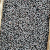 مویزسیاه بدون هسته|عمدهفروشی|دشمن زیاری, |دیوار