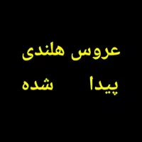 عروس هلندی خاکستری پیدا شده