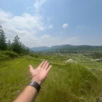 فروش زمین باغی کشاورزی لفور روستای کالیکلا|فروش زمین و ملک کلنگی|آلاشت, |دیوار