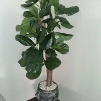 گل با گلدون