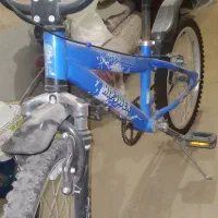 دوچرخه ۲۰ عادی