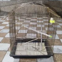 قفس زیبا