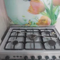 فرگاز